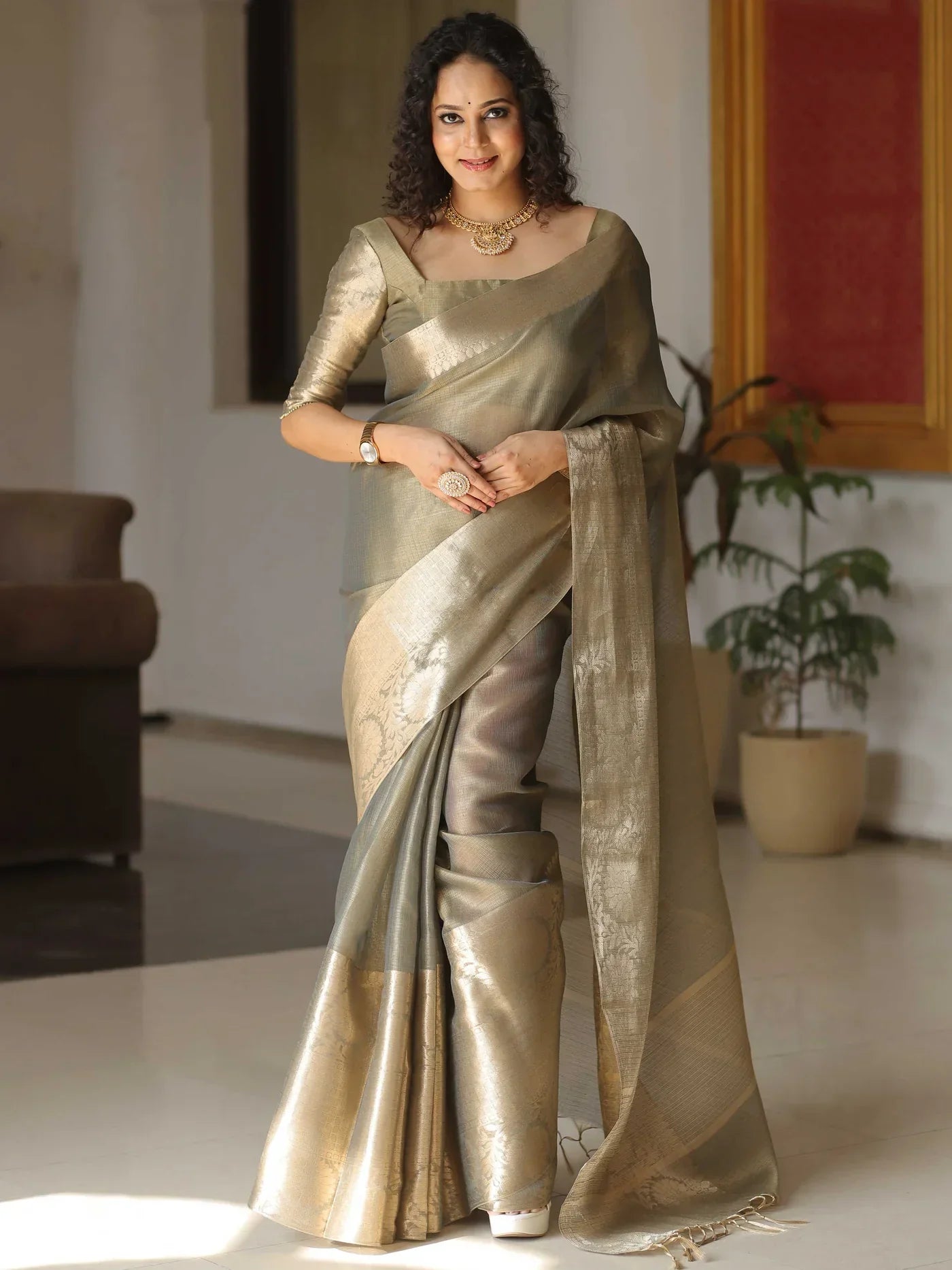 Banarasee Handwoven Plain Tissue Skirt Border Saree