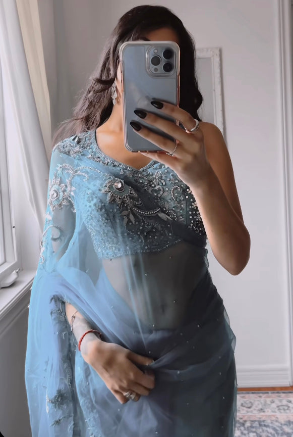 Light Blue Net And Embroidered Saree