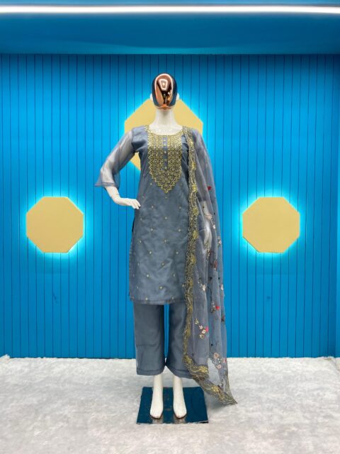 Beautiful Designer Top Orgenza With Sequence Embroidered Work With Pant And Dupatta