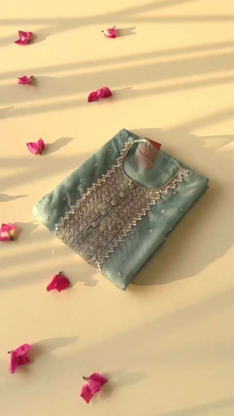 Beautiful Designer Top Orgenza With Sequence Embroidered Work With Pant And Dupatta