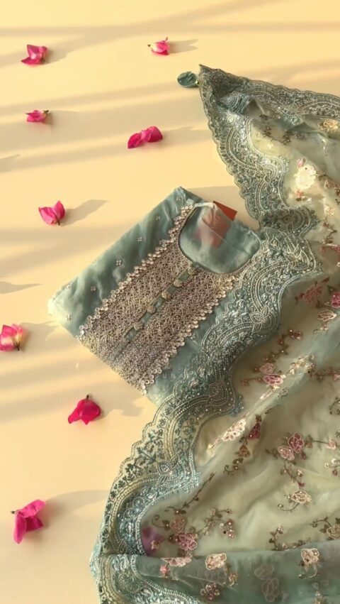 Beautiful Designer Top Orgenza With Sequence Embroidered Work With Pant And Dupatta