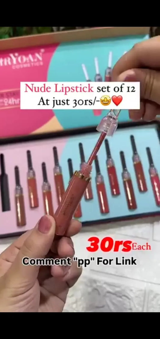 12 color lipstick combo