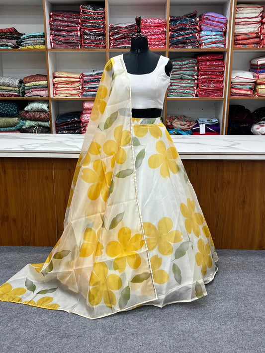 HALDI SPECIAL OUTFIT IN ORGANZA FABRIC